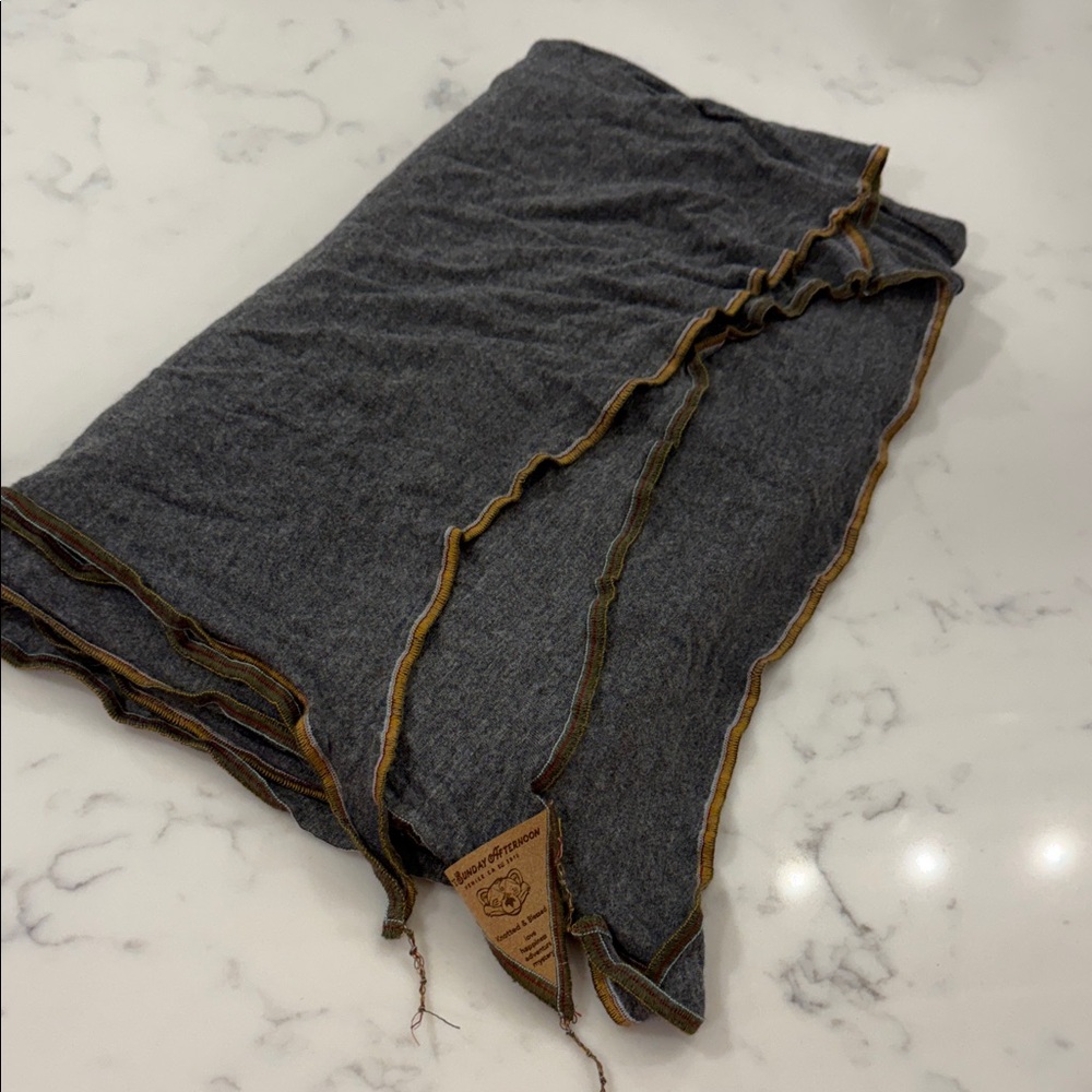 Sunday Afternoon Charcoal Gray Signature Scarf with Multicolor Trim